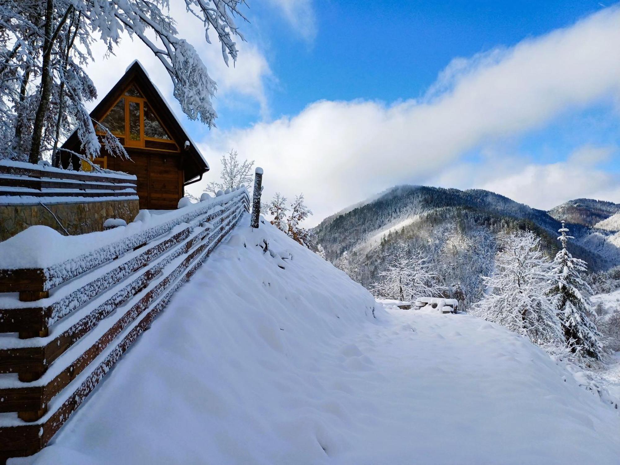 Drvene Kuce Suska - Wooden Houses Suska Zaovine Екстер'єр фото